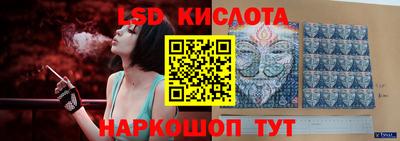 бошки Сланцы