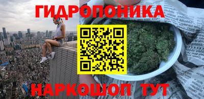 PSILOCYBIN Славгород