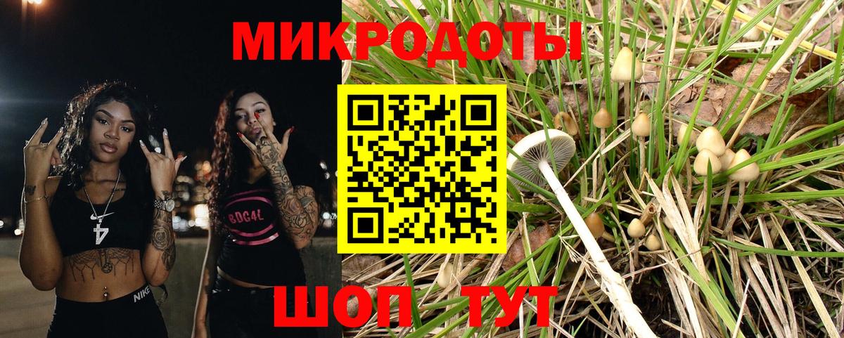 Псилоцибиновые грибы прущие грибы Пенза