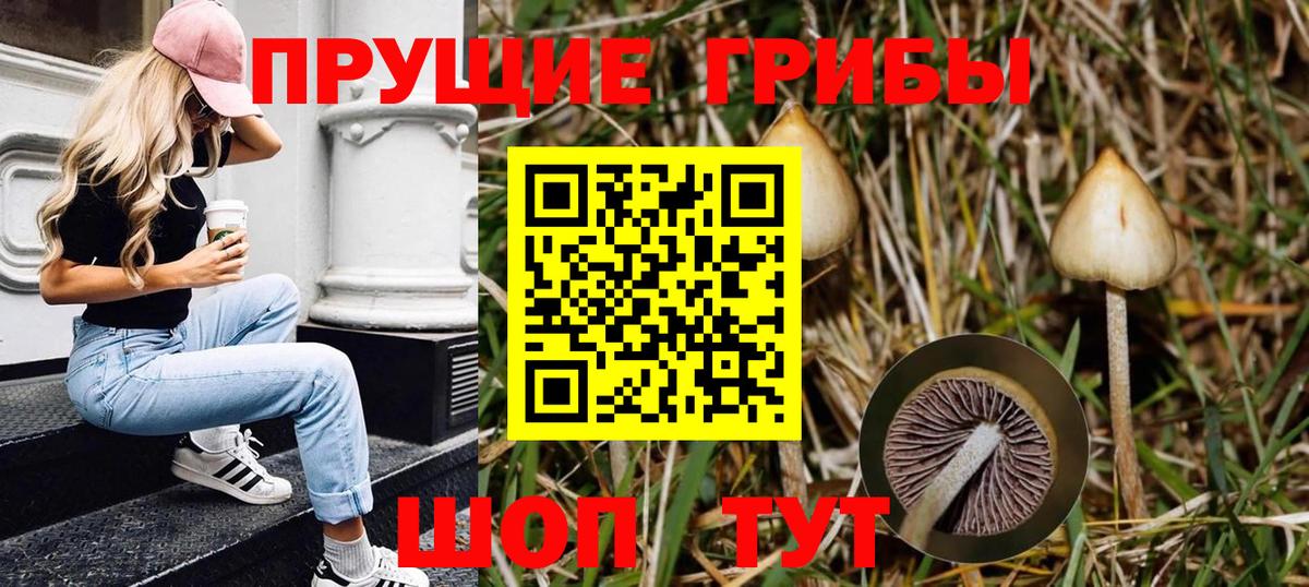 Галлюциногенные грибы GOLDEN TEACHER  Вход с VPN  Пенза 